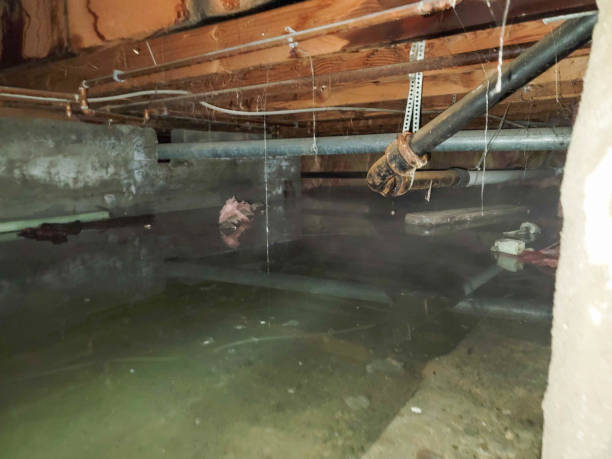 Reliable Clarendon, TX Water damage restoration Solutions