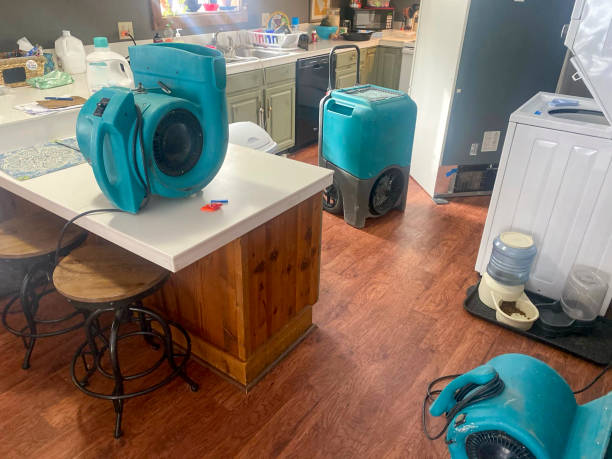 Best Water damage restoration cost  in Clarendon, TX
