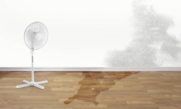 Best Commercial water damage restoration  in Clarendon, TX