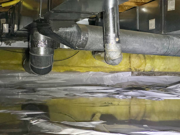 Best Ceiling water damage repair  in Clarendon, TX