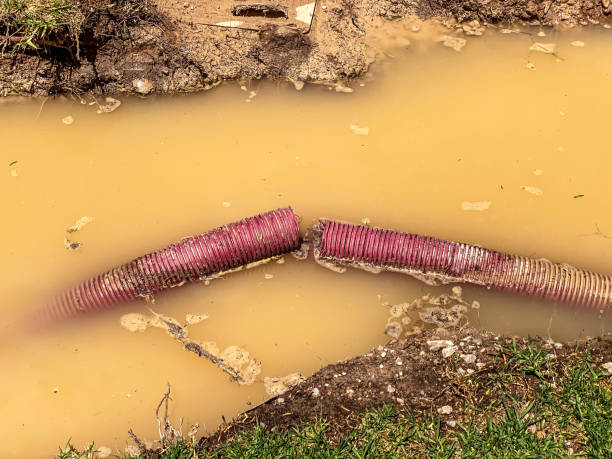 Best Water damage cleanup near me  in Clarendon, TX