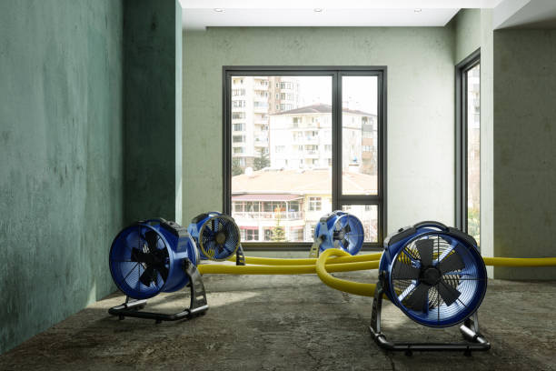 Best Emergency water damage restoration  in Clarendon, TX
